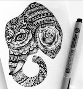 Meet your Posher, Katelyn